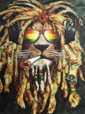 Rasta lion - Diamond Paint