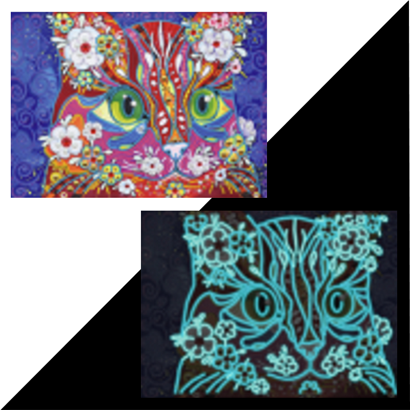 5D Diamond Paint