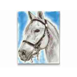 Hvid hest i diamond paint