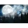 fuldmåne over skoven - Premium - Diamond art