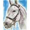 Hvid hest i diamond paint